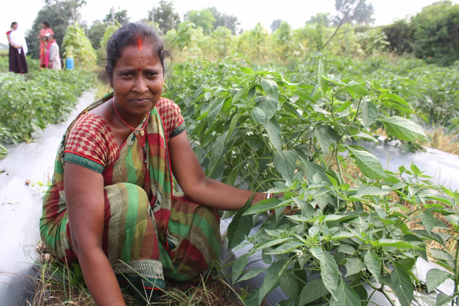 Lakhpati Kisan 2.0 Programme