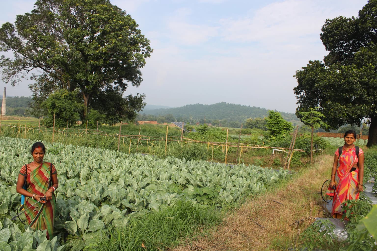Two women farmers standing among vegetable crops