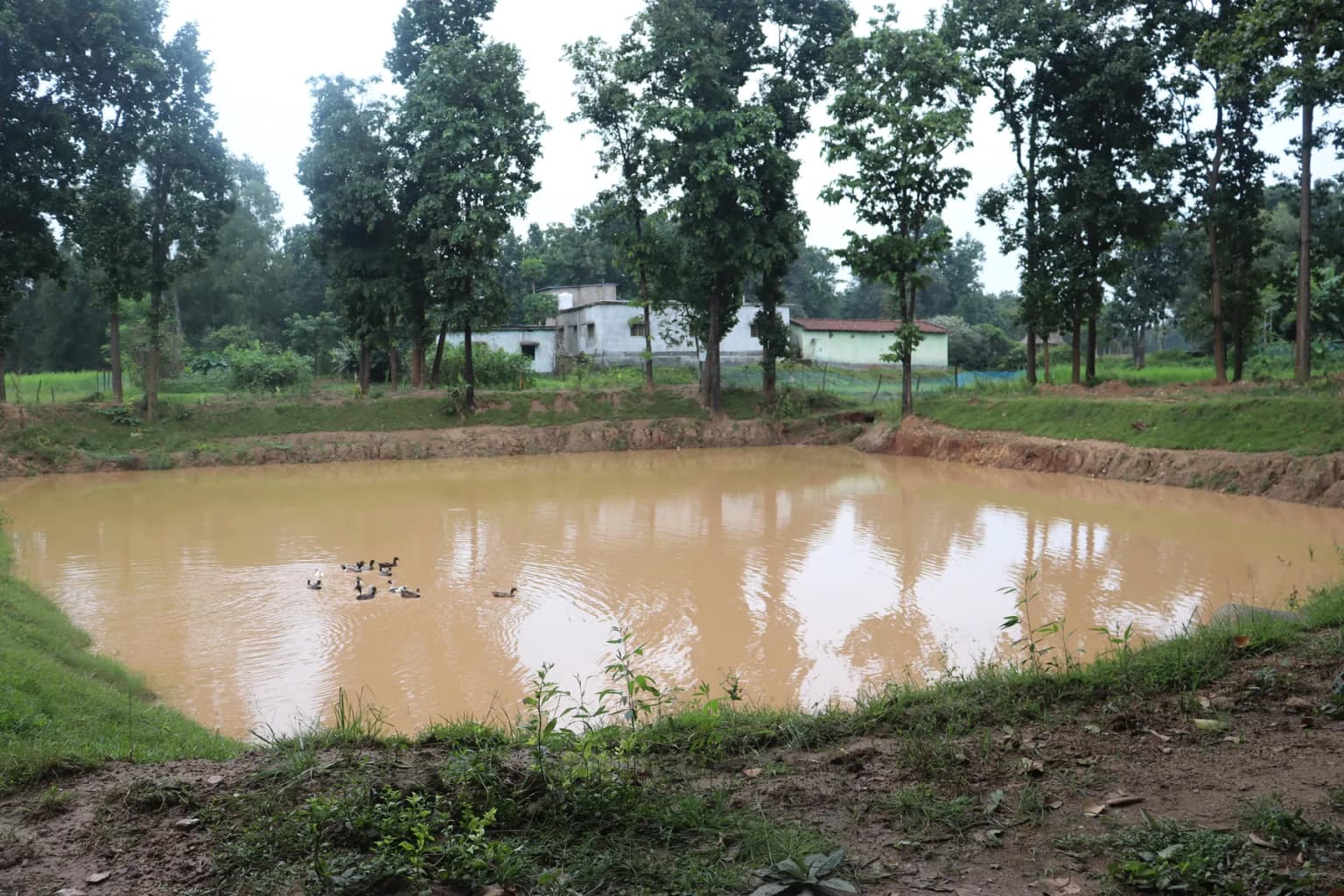 Integrated Development Programme (IDP)