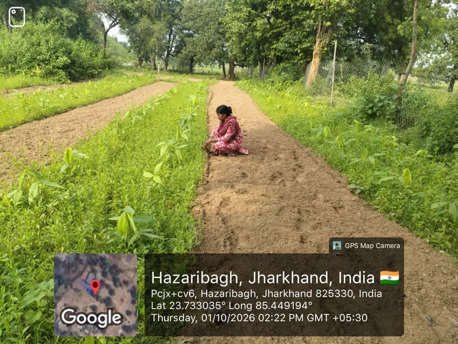 NABARD Tribal Lac Cultivation Project - TDF Semialata