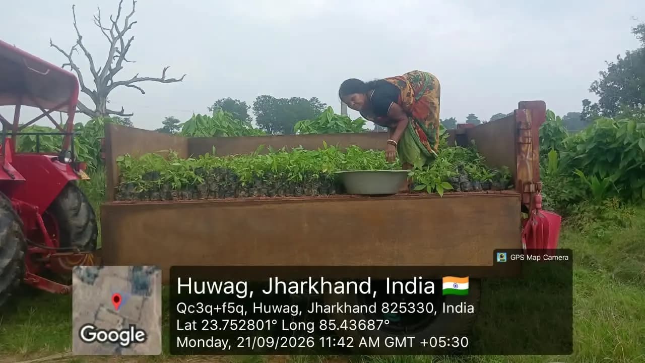 NABARD Tribal Lac Cultivation Project - TDF Semialata