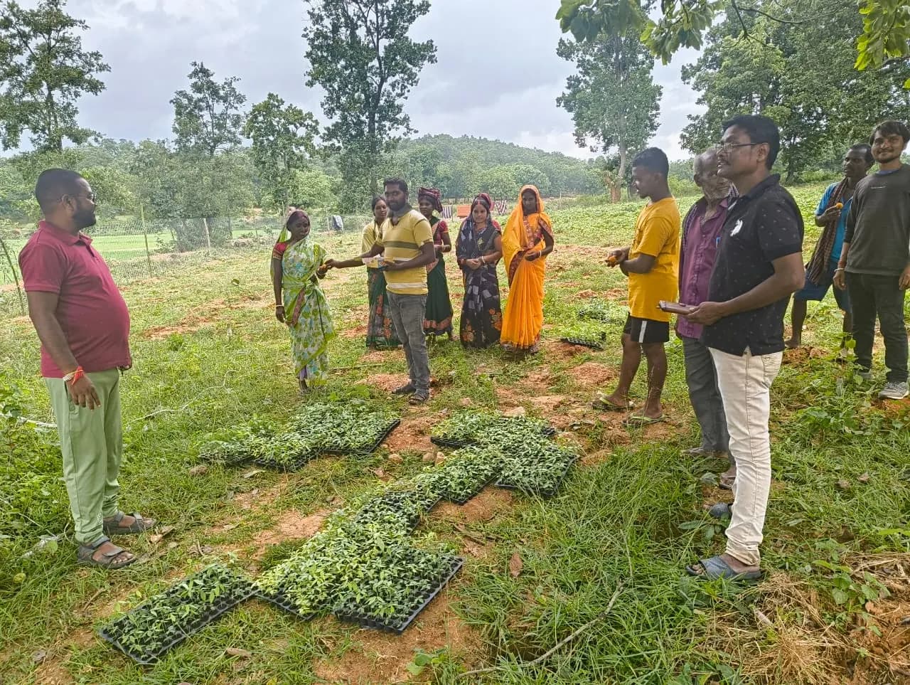 NABARD Tribal Lac Cultivation Project - TDF Semialata