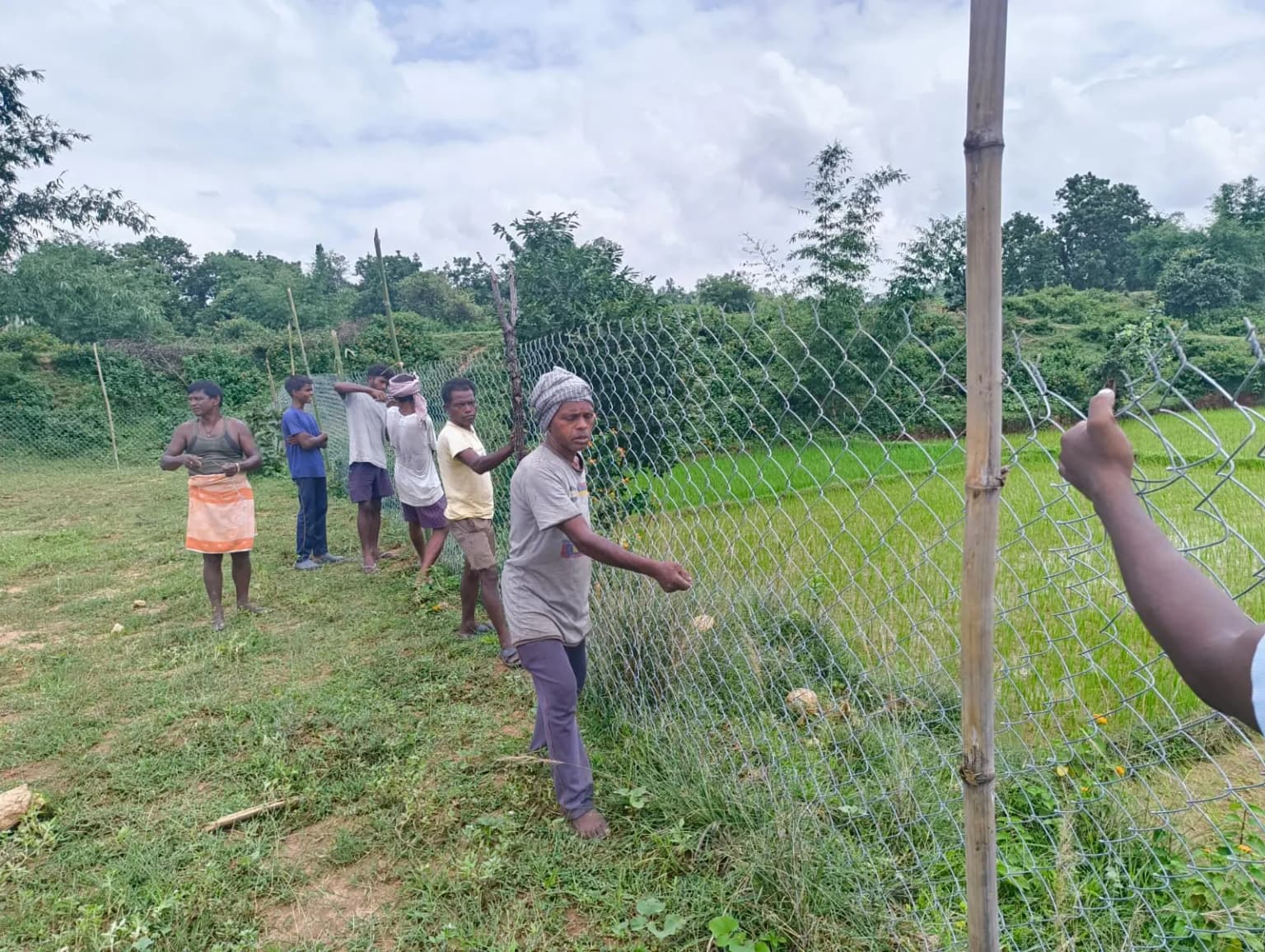 NABARD Tribal Lac Cultivation Project - TDF Semialata