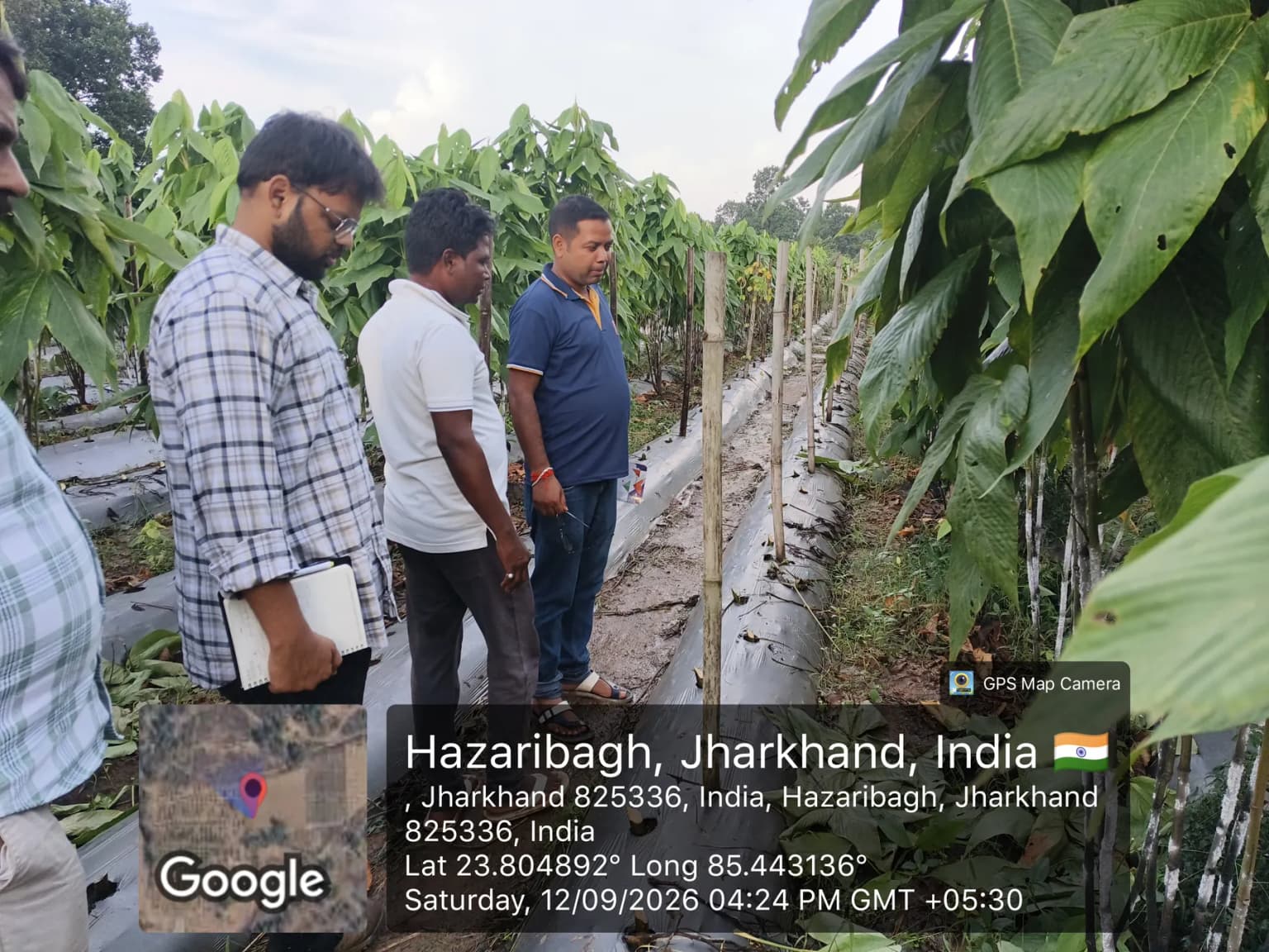 NABARD Tribal Lac Cultivation Project - TDF Semialata
