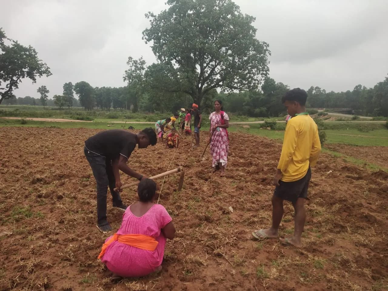 NABARD Tribal Lac Cultivation Project - TDF Semialata