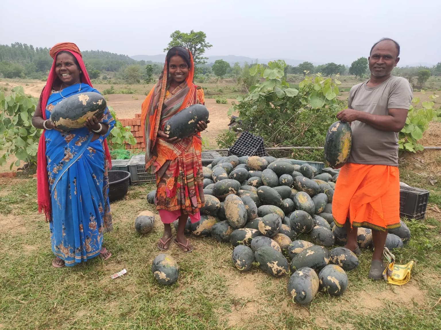 NABARD Tribal Lac Cultivation Project - TDF Semialata