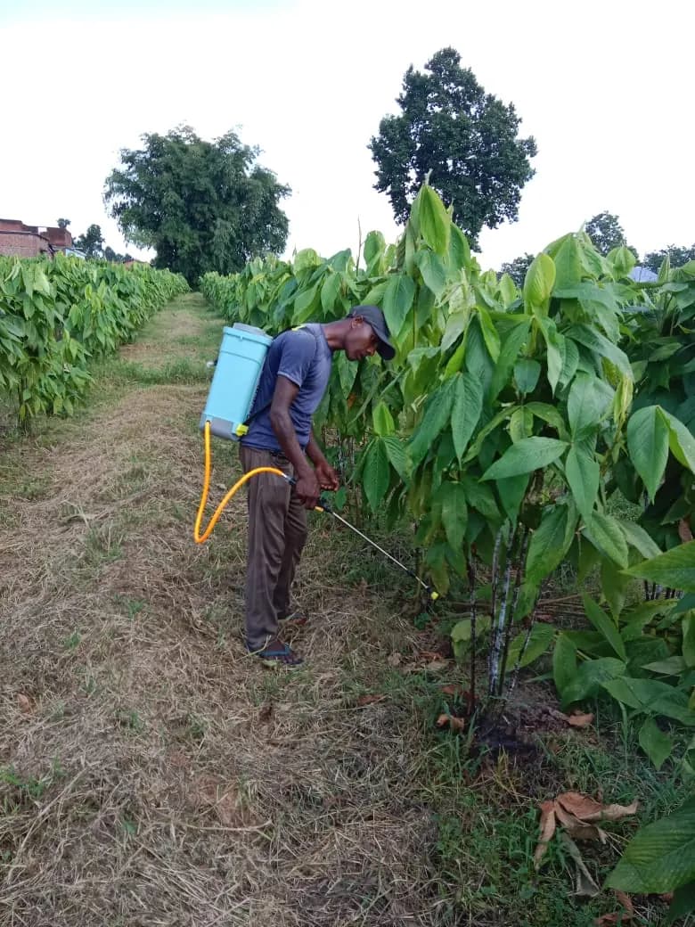 NABARD Tribal Lac Cultivation Project - TDF Semialata