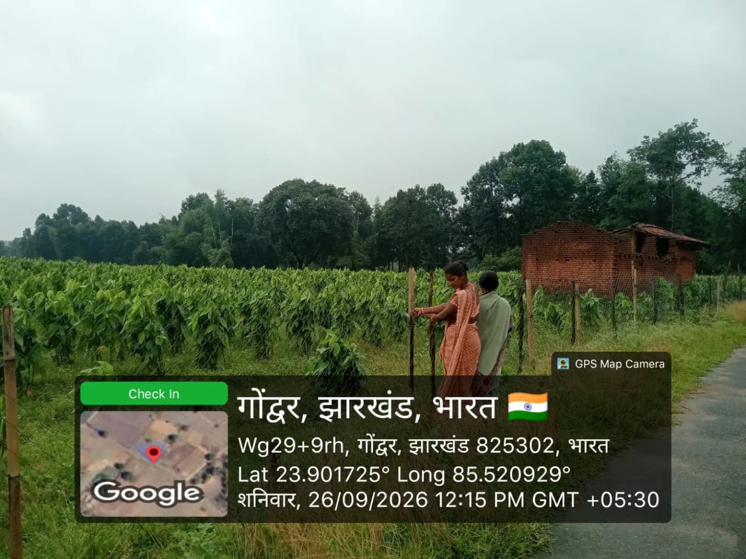 NABARD Tribal Lac Cultivation Project - TDF Semialata