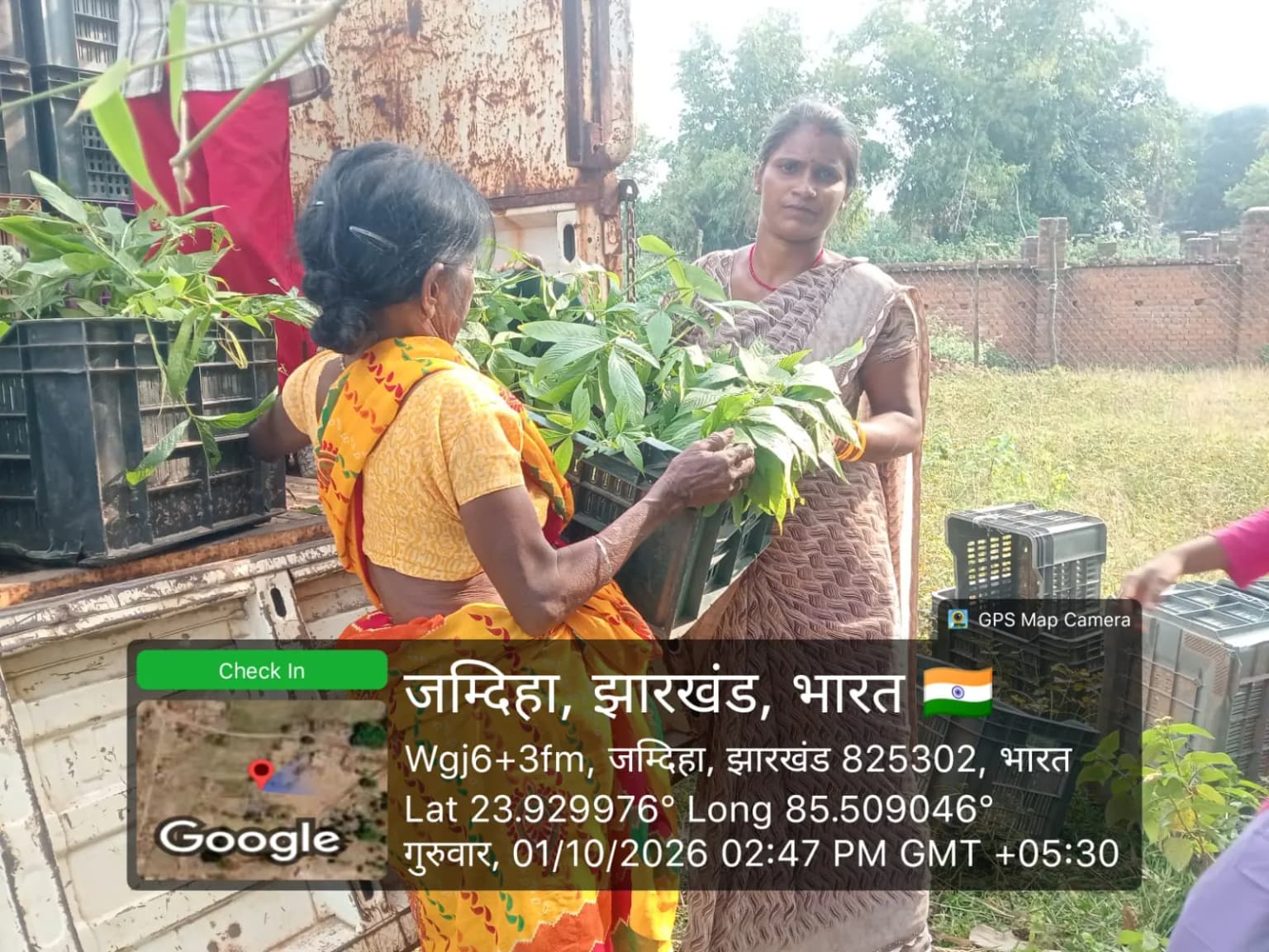 NABARD Tribal Lac Cultivation Project - TDF Semialata