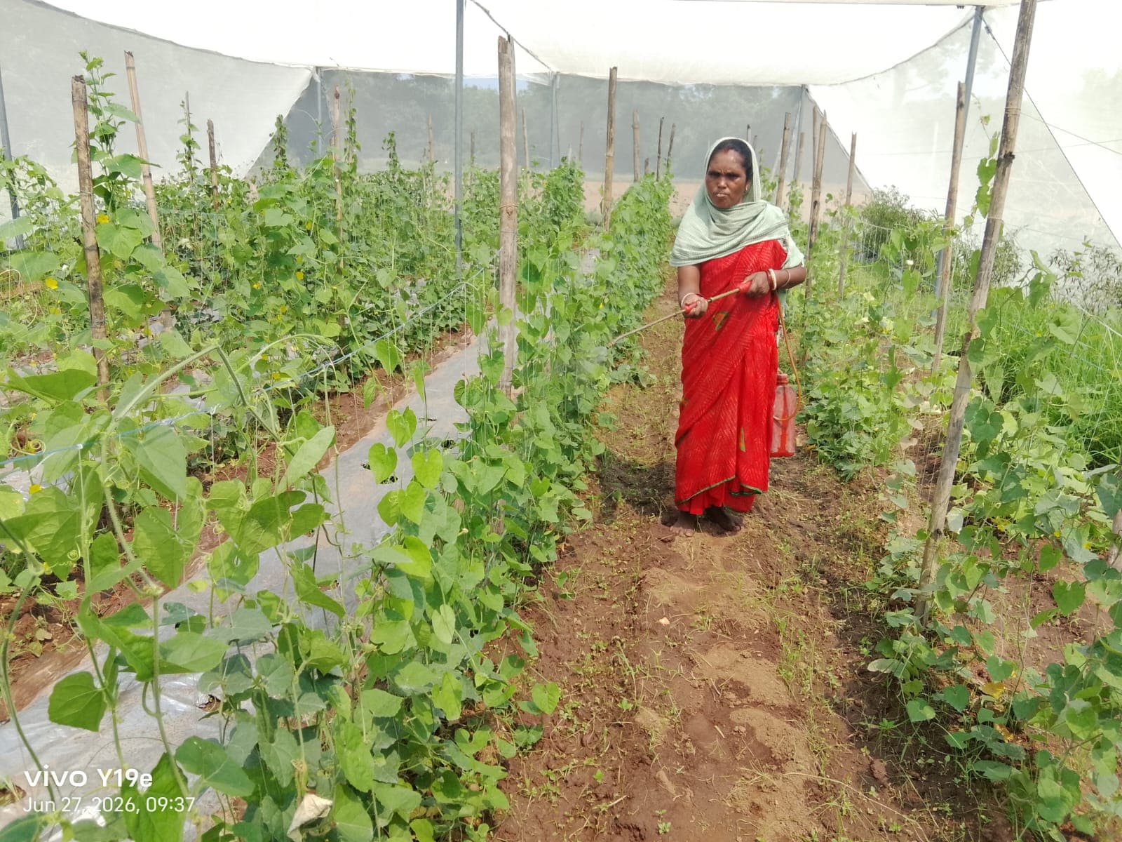 Agriculture, Food Security & Nutrition