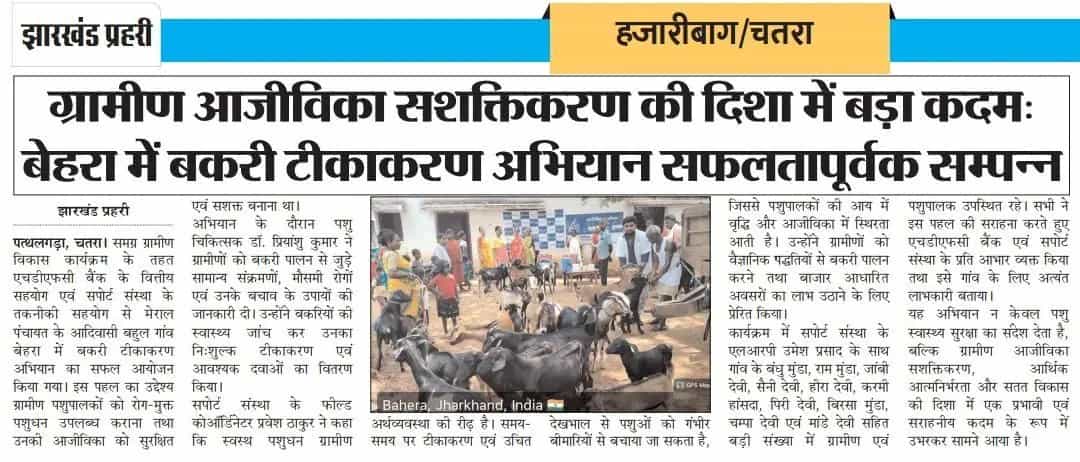 SUPPORT gallery photograph